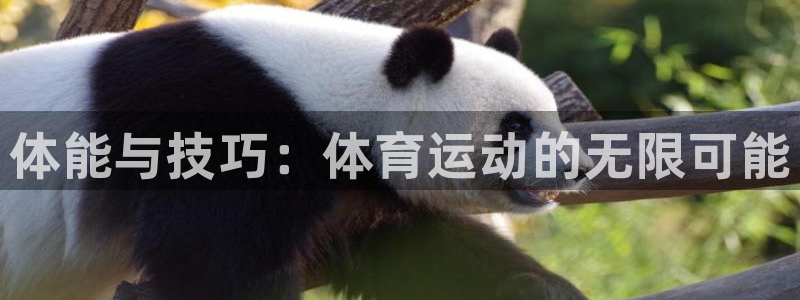 3377体育官网下载招商电话号码:体能与技巧:体育运动的无限