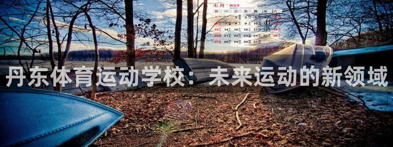 3377体育官网下载官方客服电话:丹东体育运动学校:未来运动