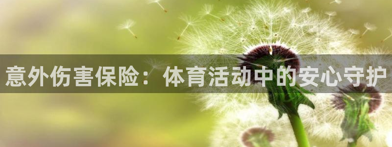 3377体育官方正版app新能源:意外伤害保险:体育活动中的