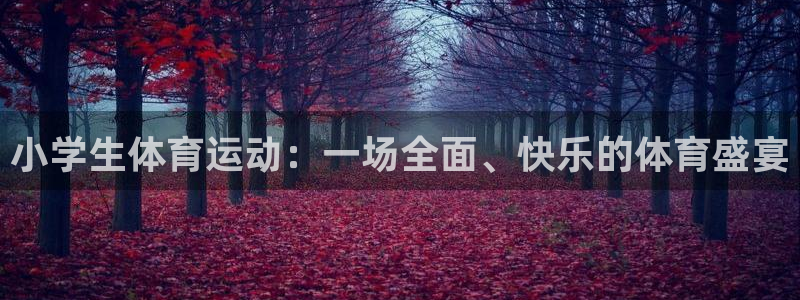 3377体育官方正版app代理:小学生体育运动:一场全面、快