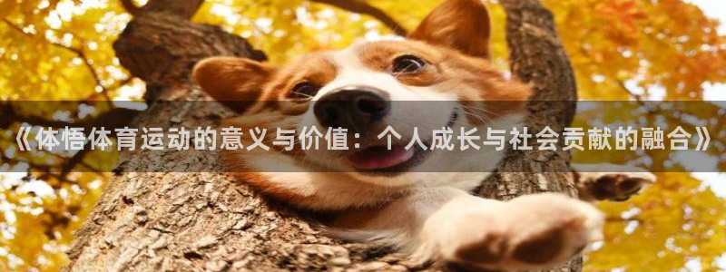 3377体育官网下载官方客服电话:《体悟体育运动的意义与价值