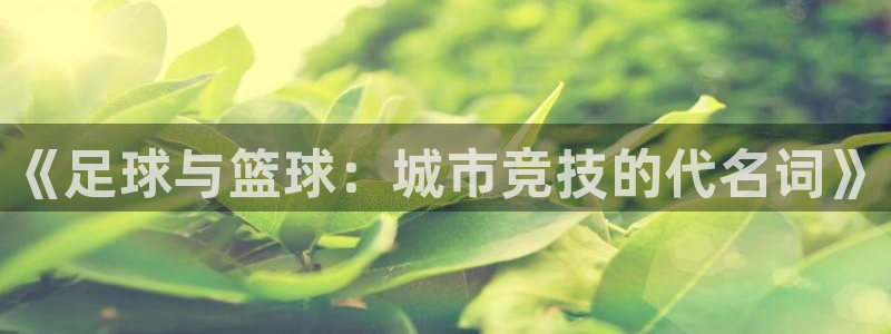 3377体育官网下载平台注册流程图:《足球与篮球:城市竞技的